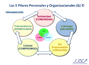 5 Pilares Organizacionales